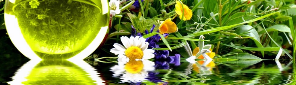 ängste bei kindern globuli