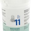 Biochemie Pflüger 11 Silicea D12 1000 Tabletten