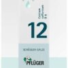 Biochemie Pflüger 12 Calcium Sulfuricum D6 100 ml Tropfen