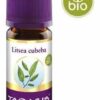 Litsea Cubeba Bio 10 ml Öl