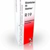 Glandulae M Gastreu R19 22 ml Tropfen zum Einnehmen