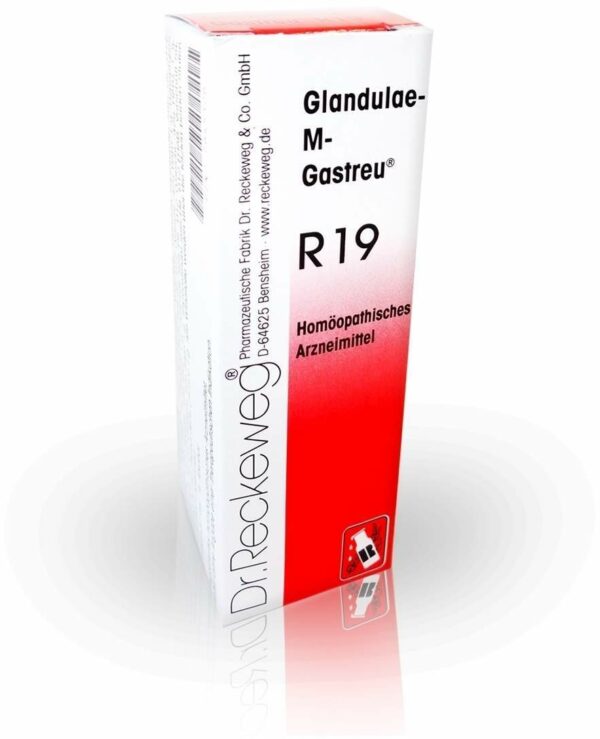 Glandulae M Gastreu R19 22 ml Tropfen zum Einnehmen