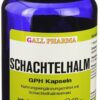 Schachtelhalm 120 Kapseln