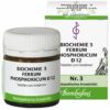 Biochemie Bombastus 3 Ferrum phosphoricum D 12 80 Tabletten