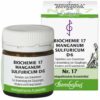 Biochemie Bombastus 17 Manganum sulfuricum D 6 80 Tabletten