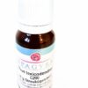 Rhus Toxicodendron C 200 Globuli 10 G