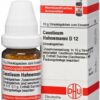 Causticum Hahnemanni D12 10g Globuli