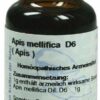 Apis D 6 Dilution