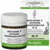 Biochemie 9 Natrium Phosphoricum D12 80 Tabletten