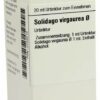 Solidago Virgaurea Urtinktur 20 ml Dilution