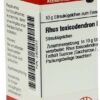 Rhus Tox. D 200 Globuli