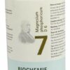 Biochemie Pflüger 7 Magnesium Phosphoricum D 6 100 G Pulver