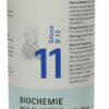 Biochemie Pflüger 11 Silicea D12 100 G Pulver