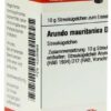 Dhu Arundo Mauritanica D12 Globuli