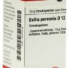 Bellis Perennis D 12 Globuli
