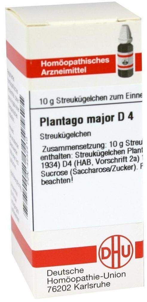 Dhu Plantago Major D4 Globuli
