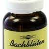 Bachblüten Murnauer Mustard 20 ml Tropfen