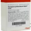 Syzygium Jambolanum Injeel Forte 10 Ampullen