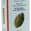 Luffasan 80 Tabletten