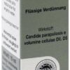 Pefrakehl Tropfen D 5 10 ml Tropfen