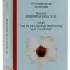 Strophanthus D4 Sanum Tropfen 100ml Flüssige Verdünnung