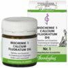 Biochemie Bombastus 1 Calcium fluoratum D 6 80 Tabletten