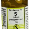 Biochemie 5 Kalium Phosphoricum D6 100 Tabletten