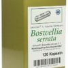 Boswellia Serrata Leinersans Indischer Weihrauch 120 Kapseln