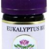 Eukalyptus Öl Bio 5 ml Öl