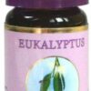 Taoasis Eukalyptus Öl 10 ml Öl