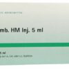 Disci Bamb Hm Injektion 10 X 5 ml Ampullen