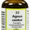 Agnus Castus Komplex Nr. 22 20 ml Dilution