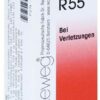 Ruta Gastreu N R 55 22 ml Tropfen zum Einnehmen