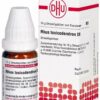 Rhus toxicodendron D6 DHU 10 g Globuli