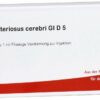 Circulus Arterios. Cer. Gl D 5 Ampullen