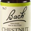 Bachblüten Chestnut Bud 20 ml Tropfen