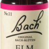 Bachblüten Elm 20 ml Tropfen