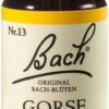 Bachblüten Gorse 20 ml Tropfen