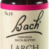 Bachblüten Larch 20 ml Tropfen