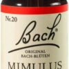 Bachblüten Mimulus 20 ml Tropfen