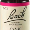 Bachblüten Oak 20 ml Tropfen