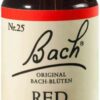 Bachblüten Red Chestnut 20 ml Tropfen