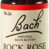 Bachblüten Rock Rose 20 ml Tropfen