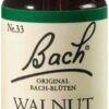 Bachblüten Walnut 20 ml Tropfen