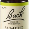 Bachblüten White Chestnut 20 ml Tropfen