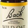 Bachblüten Wild Oat 20 ml Tropfen