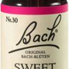Bachblüten Sweet Chestnut 20 ml Tropfen