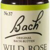 Bachblüten Wild Rose 20 ml Tropfen