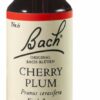 Bachblüten Cherry Plum 20 ml Tropfen