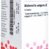 Alchemilla Vulg. Urtinktur 20 ml Dilution